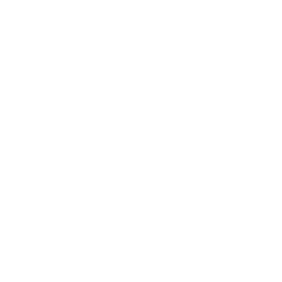 Camion